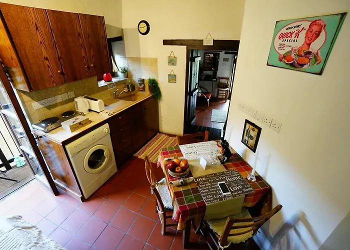 Irene'S House